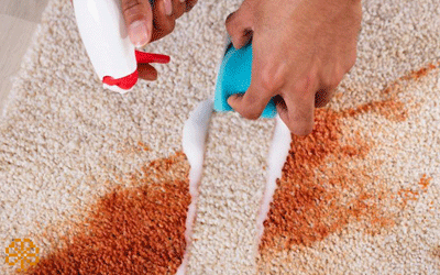 Carpet Stain Treatment